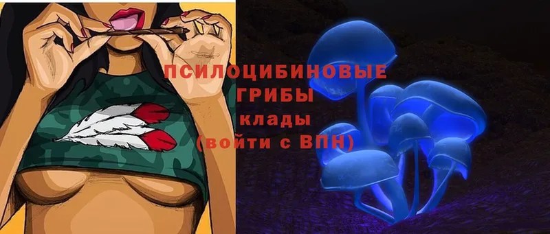 Галлюциногенные грибы Cubensis  Вольск 